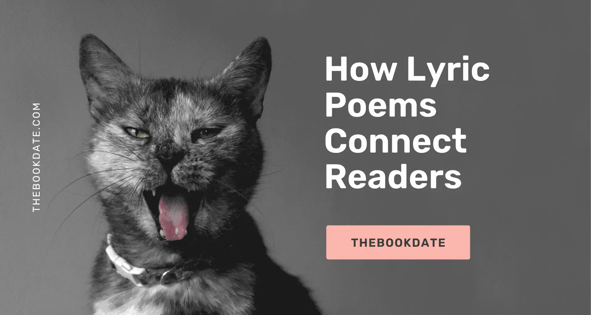 How Lyric Poems Connect Readers