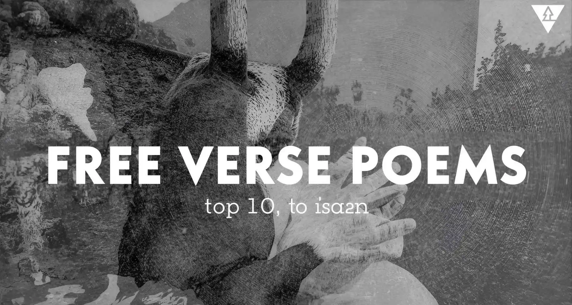 Free Verse Poems: Top 10 That Celebrate Creative Freedom